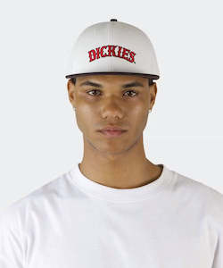 Dickies Old Saloon 6 Panel Cap - Bone