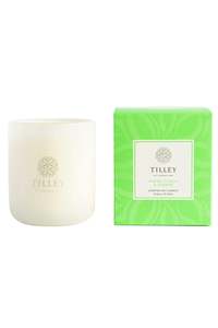 GIFTS: Fresh Citrus And Ginger Candle 375g