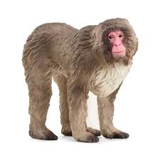 Toy: Schleich - Japanese Macaque