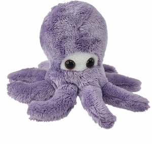 Antics: Wild Mini Octopus