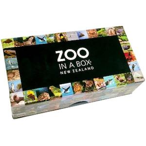 Toy: Zoo in a Box New Zealand