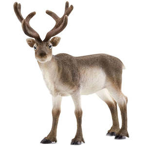 Schleich - Reindeer