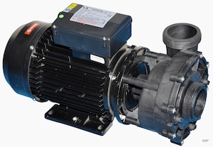 LX200 – 2HP Spa Pump