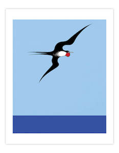 Pacific Frigate Bird