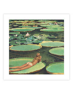 Art gallery: Lily Pond Lane