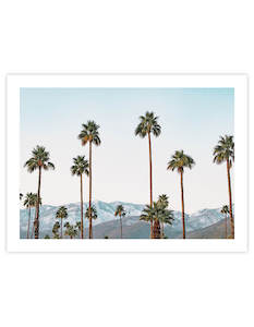 Palm Springs Palms