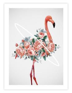 Flamingo