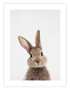 Art gallery: Woodland Bunny Rabbit