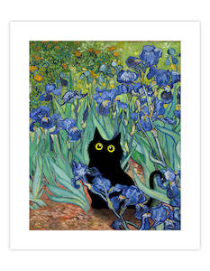 Irises Little Black Cat