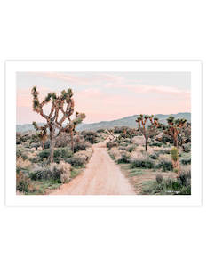 Art gallery: Yucca Valley