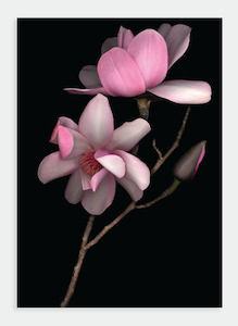 Stationery wholesaling: LH30 Pink Magnolia on Black (Pack of 6) / Lynn Hurst