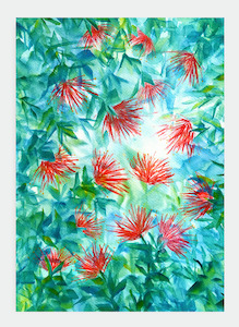 JM14 Pohutukawa (Pack of 6)