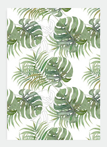 JM13 Monstera (Pack of 6)