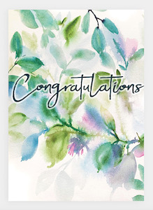 JM27 Congratulations (pack of 6)