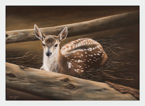 FAMG06 Fawn (Pack of 6)