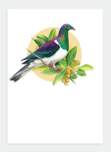 DB20 Kereru  (Pack of 6)