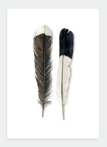 DB18 Feathers  (Pack of 6)