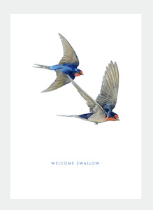 DB43 Welcome Swallow (Pack of 6)