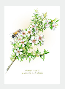 Stationery wholesaling: DB38 Honey Bee & Manuka (Pack of 6)