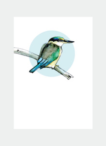 DBM16 Kingfisher  (Pack of 6)