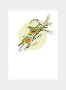 DBM15 Waxeye  (Pack of 6)