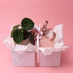 Orchid and Treats Gift Box