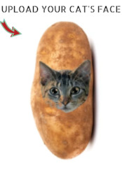 Potato Kitty