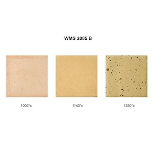 Products: Primo Stoneware w/Speckle WMS2005B 10kg