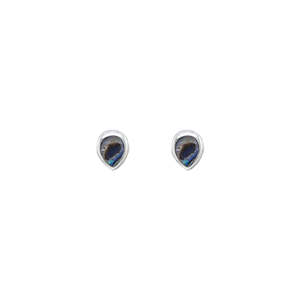 Luna 'Taygete' Tear Drop Paua Stud Earrings