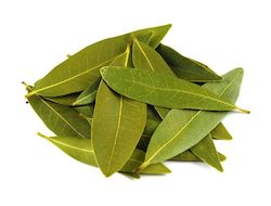 Specialised food: Bay Leaves