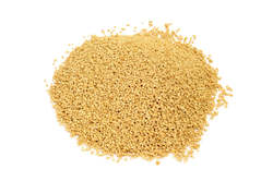 Premium Sunflower Lecithin Granules