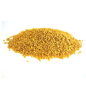 Premium Mustard Seeds Yellow