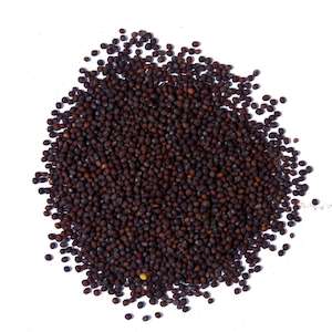 Premium Mustard Seeds Black