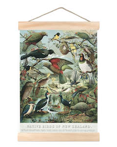 Native Birds of New Zealand Wall Chart