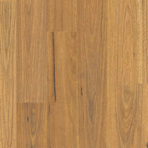 Natural Spotted Gum