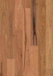 Quick Step Hardwood: Blackbutt, 1-Strip