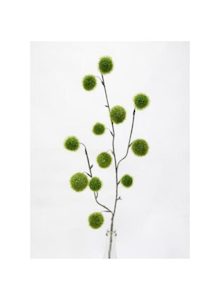 Pom Pom Spray 79cm Green