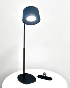 Construction project management service: 360 Lamp Black