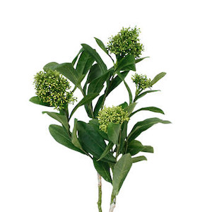 Skimmia Spray 66cm