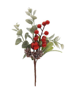 Eucalyptus Pine Cone Red Berry Pick