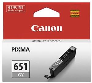 Inkjet Printer Ink Cartridges: Canon CLI 651 Grey Ink Cartridge - SPECIAL