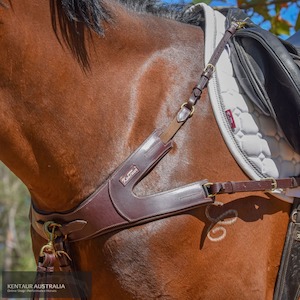 Breastplates: Kentaur 'Leon' Breastplate