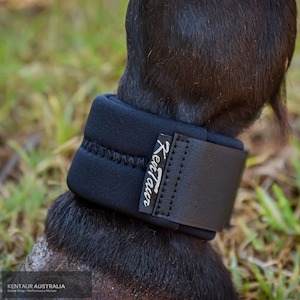 Kentaur Fetlock Belt