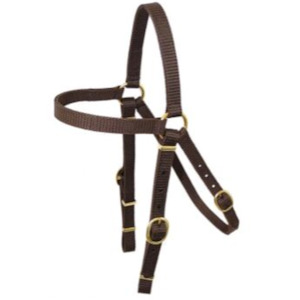 Webbing Barcoo Bridle