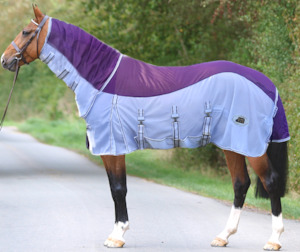 Best Selling Horse Rugs: Fly Mesh combo & Fly veil