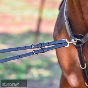 Breastplates: Kentaur Martingale Attachment