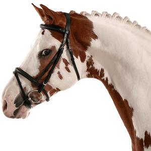 Leather Hanoverian Bridle