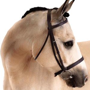 Flat Cavesson Bridle