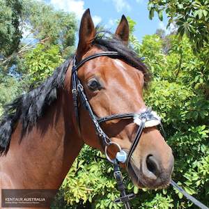 Kentaur 'Knoxville' Grackle Bridle