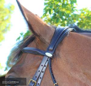 Kentaur 'Hamilton' Comfort Poll Bridle